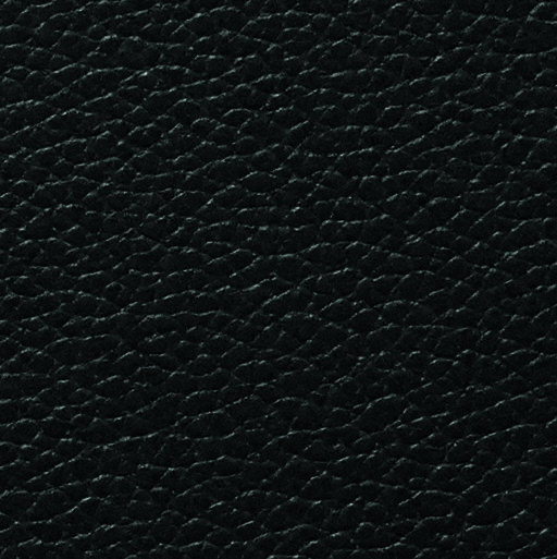 Leather black